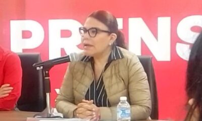Mayka Ortega pide se investiguen permisos de El Chamizal